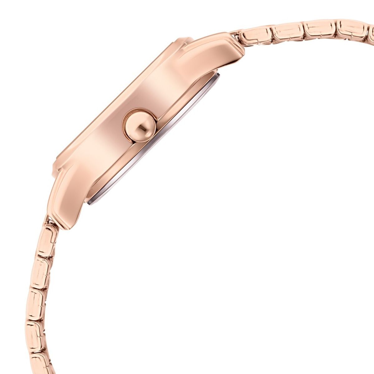 Titan Lagan Silver Dial Rose Gold Metal Strap Women's Watch view 6