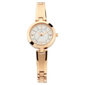 Titan Silver Dial Rose Gold Metal Strap Women's Analog Watch 2598WM01 - view 1