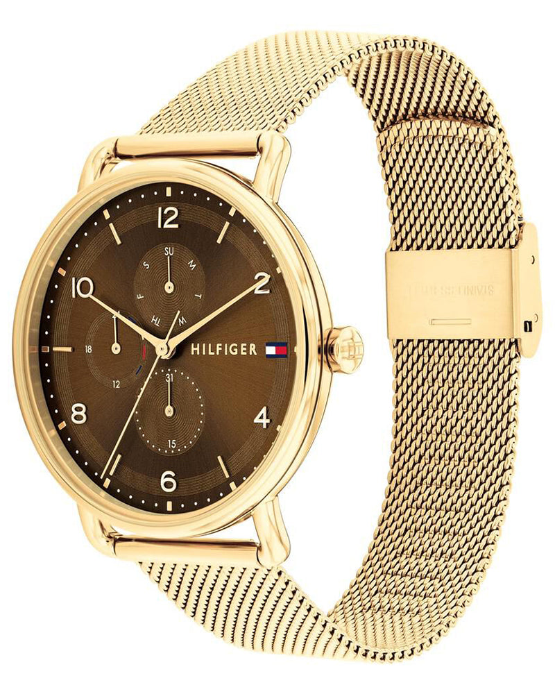 Tommy Hilfiger Lily Brown Dial Gold Stainless Steel Strap Women's Multifunction Watch TH1782663 - view 2